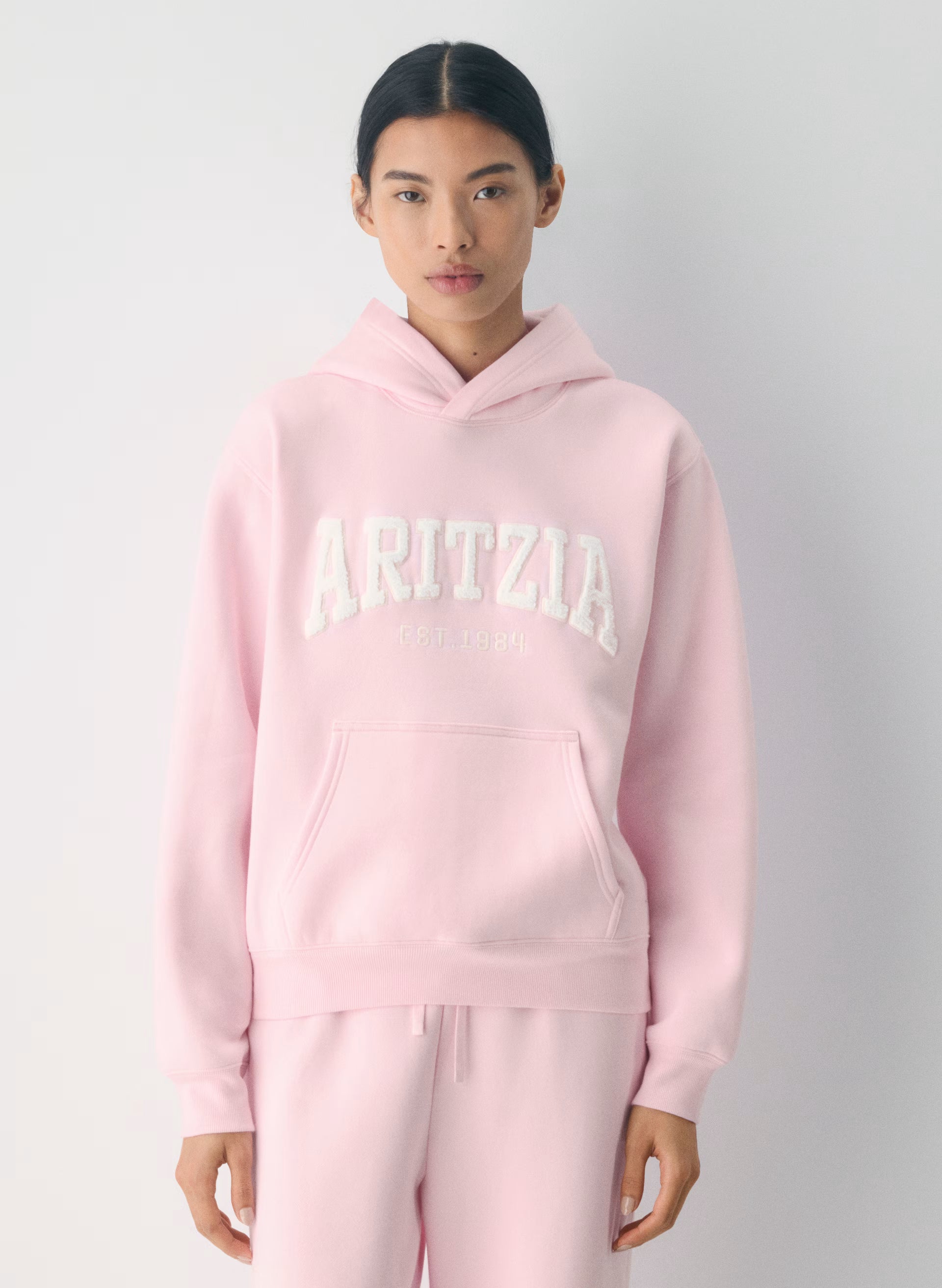 Aritzia Hoodie