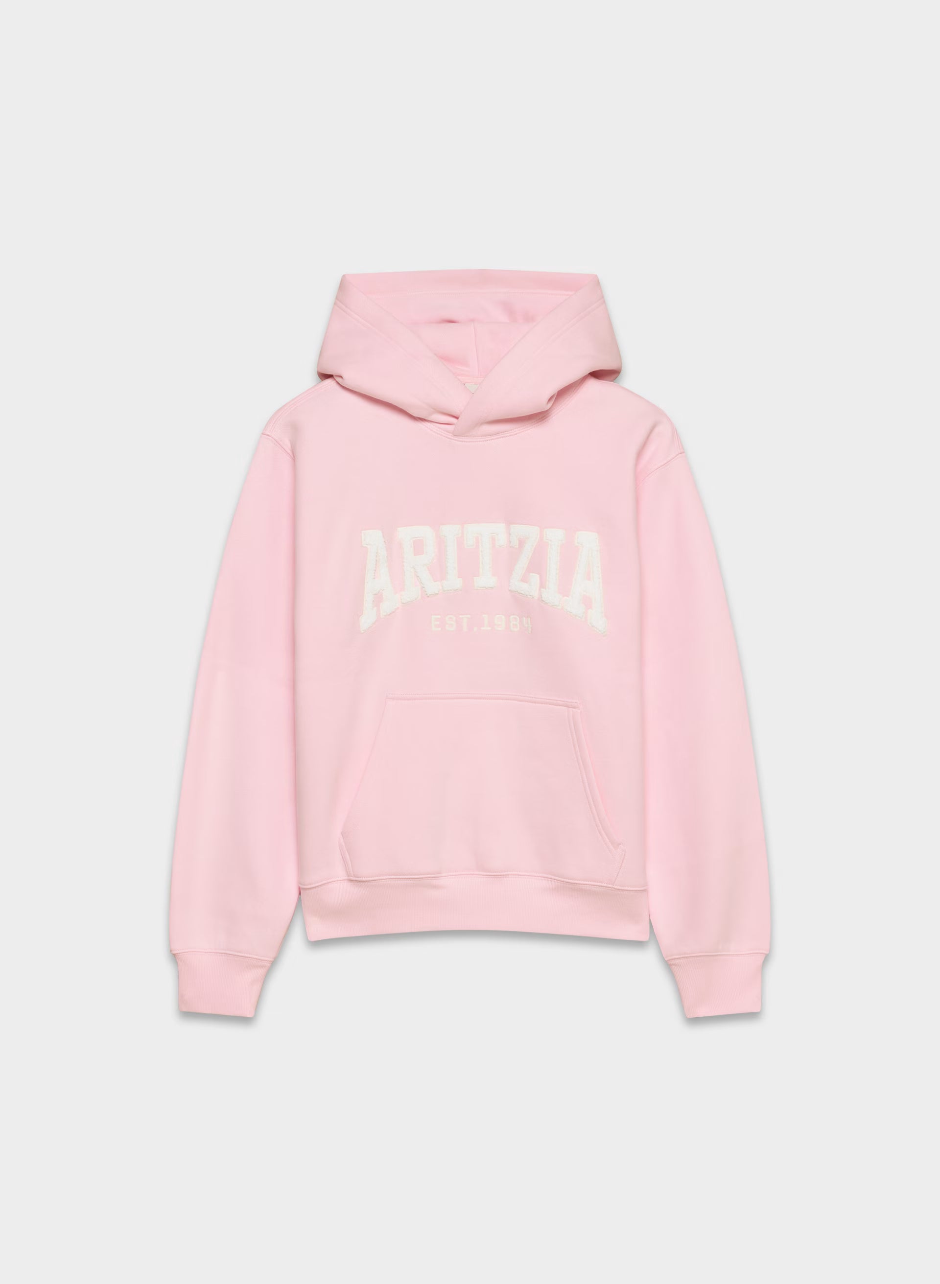 Aritzia Hoodie