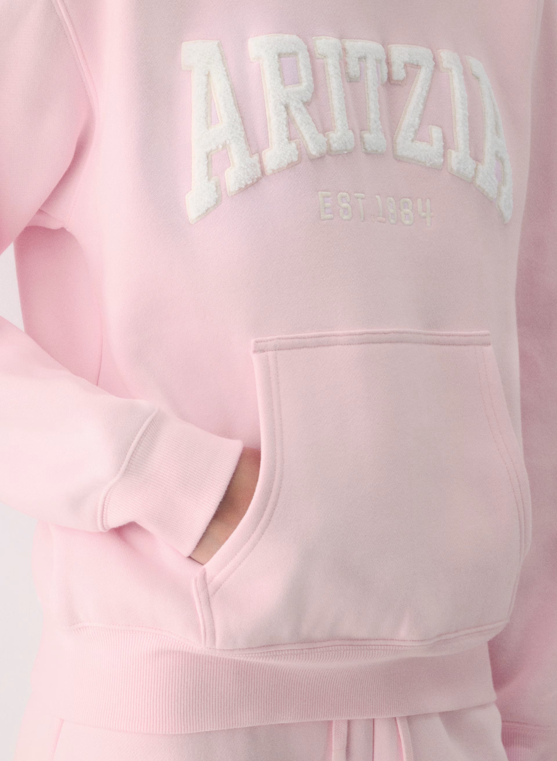 Aritzia Hoodie